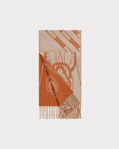 HERMES Tete-a-Tete Equestre Scarf | Hermès scarf (multicolor)