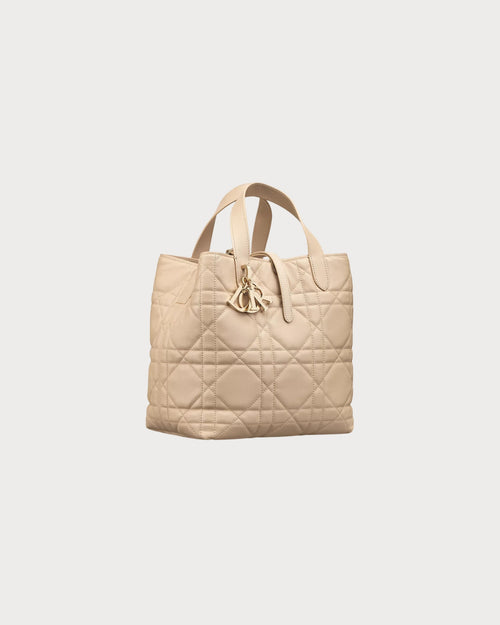 CHRISTIAN DIOR Medium Dior Toujours Vertical Tote Bag | 迪奧 手提袋 (多色)