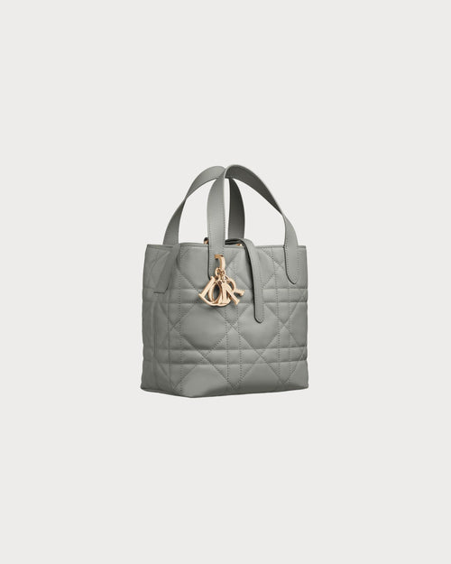 CHRISTIAN DIOR Small Dior Toujours Vertical Tote Bag | 迪奧 手提袋 (多色)
